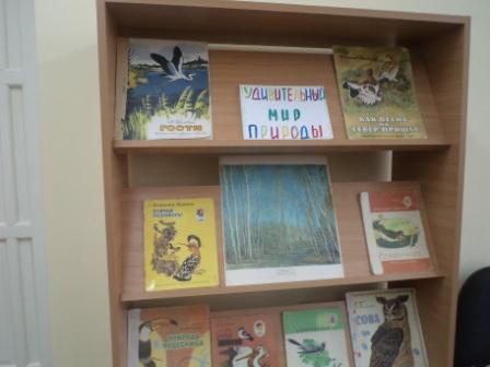 Выставка книг удивительный мир природы русские краи.JPG