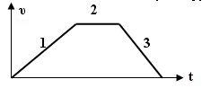 T-1zN-ris2.jpg