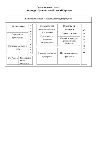 Схема аптечки Часть 1 Команда Лютики школа № 1 г. Арзамас.jpg