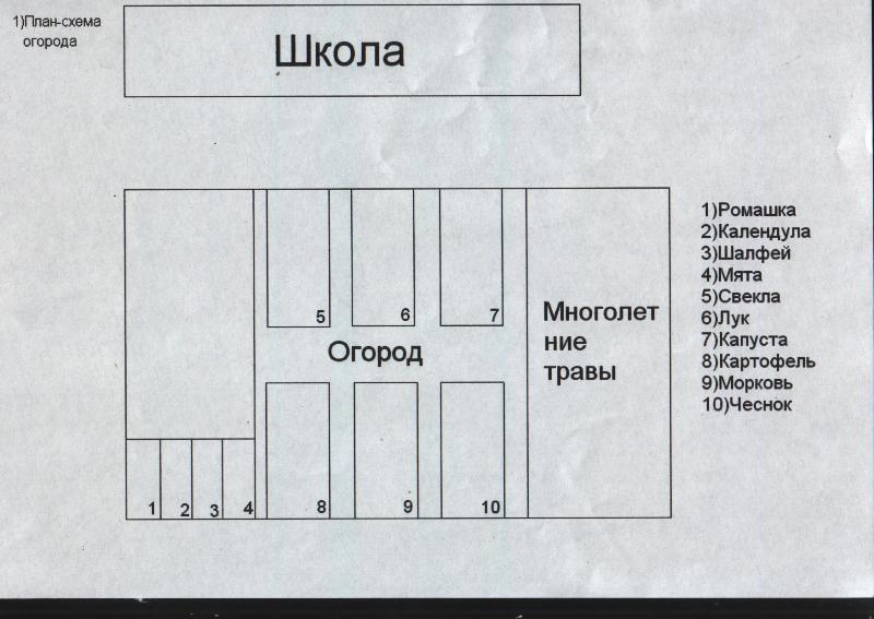 Схема огорода в школе