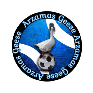 Эмблема команды Arzamas Geese.png