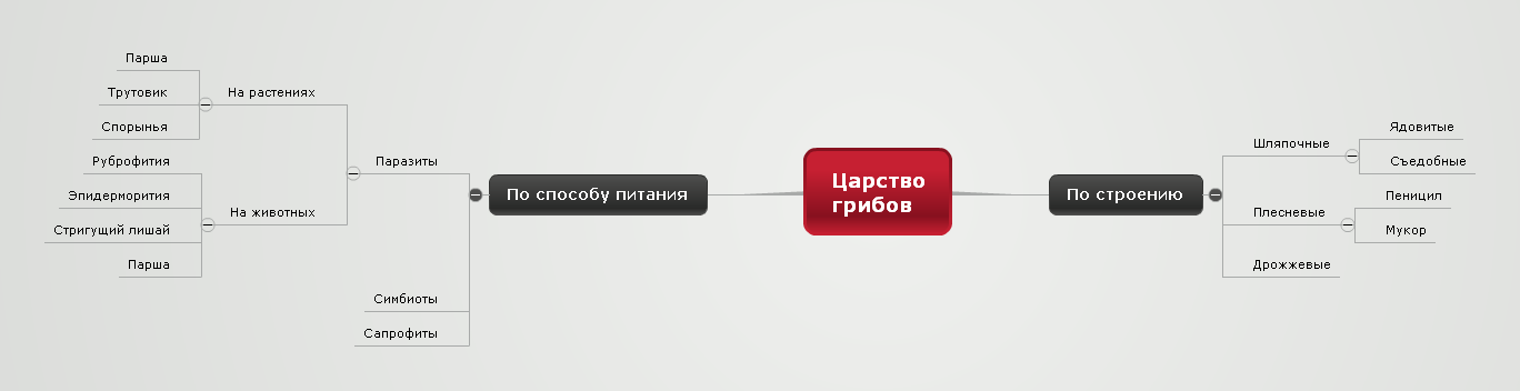 Царство грибов Влад Шевчук школа 165 8Б класс Новосибирск.png