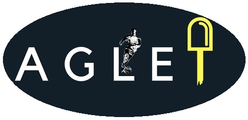 Эмблема команды Aglet.jpg