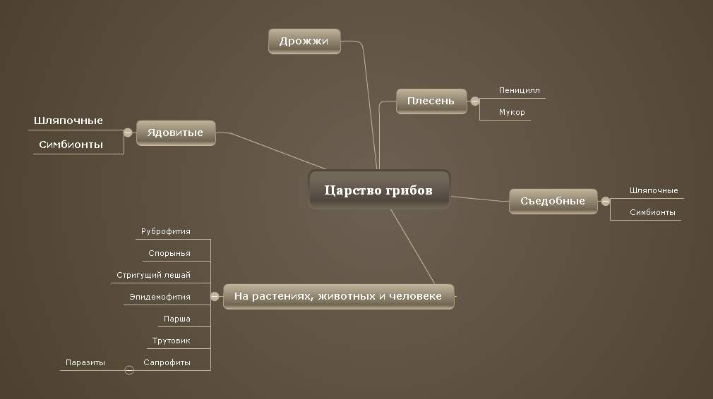 Царство грибов Бадулина Анна МБОУ СОШ 165 8 Б.png