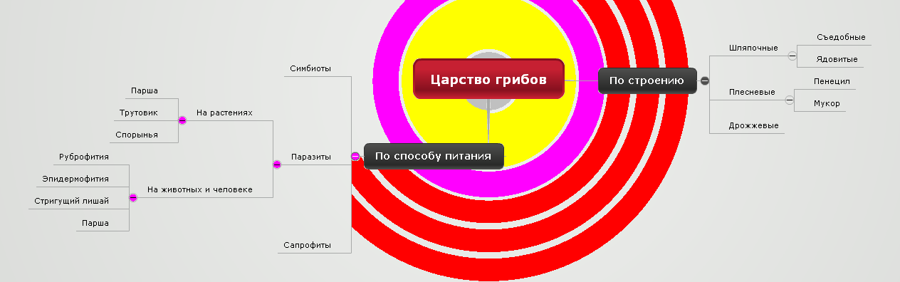 Царство грибов Лена Скурихина 165 школа 8 А класс.PNG