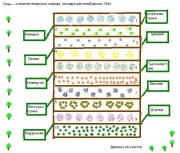 Plan-schema ogoroda scool1944.jpg