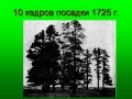 Миниатюра для версии от 10:28, 28 апреля 2009