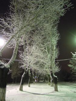 Зимняя ночь на улице Горького поселка Шолоховского Пилигримы.jpg