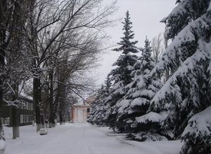 Зима в центре поселка Шолоховского Пилигримы.JPG