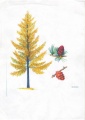 Stulovo Listvenica Tree.JPG