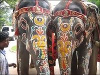 Слон в индии.jpeg