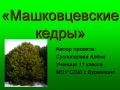 Миниатюра для версии от 10:26, 28 апреля 2009