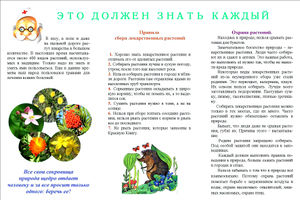 Буклет Батраковой Л И лекарственные растения-1.jpg