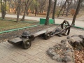 Черепахи в городском парке Саратова.jpg