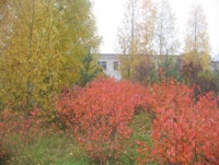 Осень2008-31.jpg