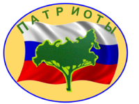 Эмблема команды Патриоты Пошатово.png