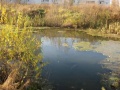 Река Сундовик.jpg