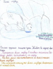 Белый медведь Косолапова.jpg