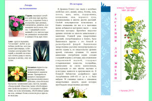 Буклет Батраковой Л И лекарственные растения-2.jpg