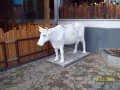 Скульптура коровы екатеринбург.jpg