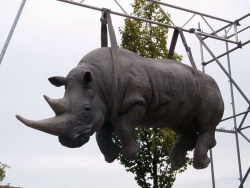 Висящий носорог