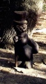 Скульптура Ученый кот в Саратове.jpg