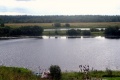 Река Кема около села Покровское.jpg