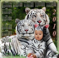 Новый год тигр.jpg