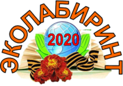 Региональный проект Эколабиринт-2020 Эмблема.png