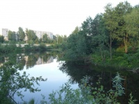река Нуженка, Борский район, Нижегородская область
